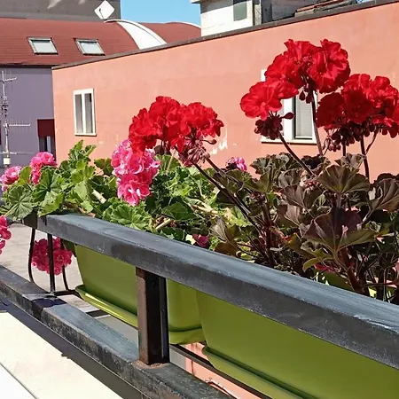 La Terrazzina * Pescara